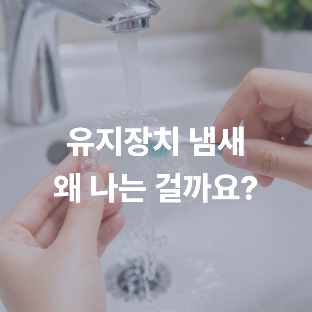 치아교정 유지장치 냄새, 왜 날까? 효과적인 세척 및 관리법 의정부치과