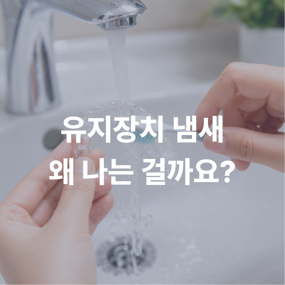 치아교정 유지장치 냄새, 왜 날까? 효과적인 세척 및 관리법 의정부치과